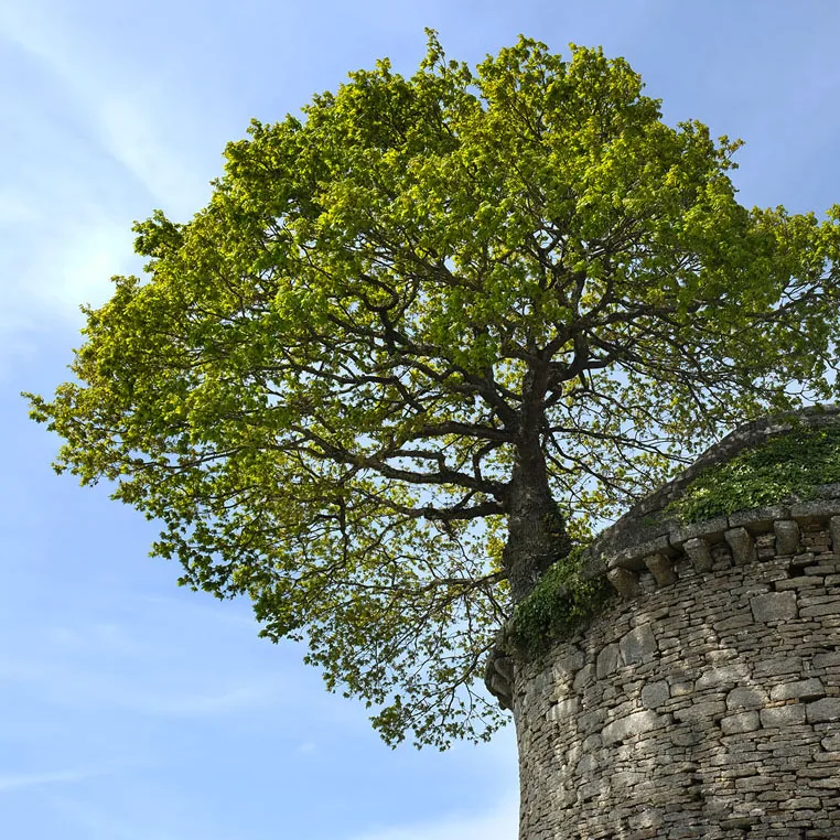 Photo de Armoripark